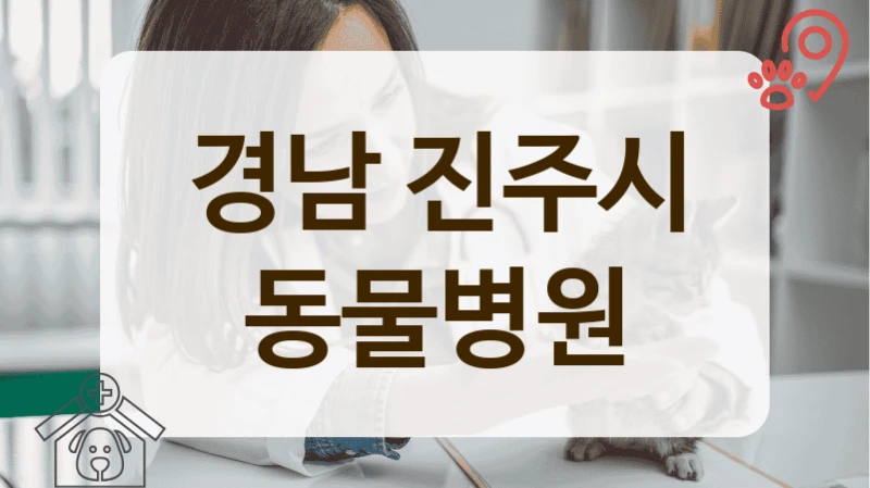 진주시 새끼 강아지 첫 건강검진, 친절한 동물병원
