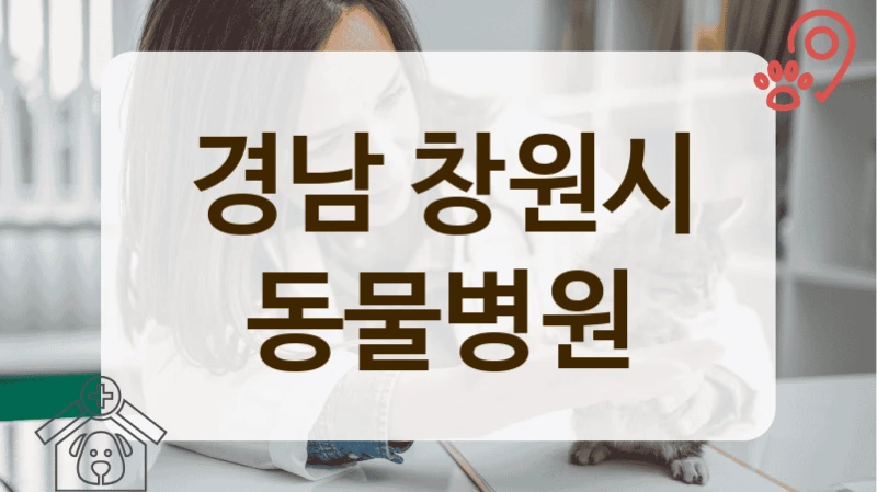 경남 창원시 반려동물 치아 관리의 모든 것, 동물병원 안내