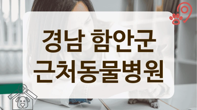 함안군 정직한 동물병원 추천 리스트