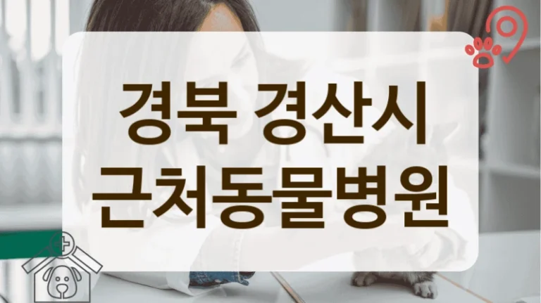 경북 경산시 반려 동물병원, 종합 건강검진 프로그램 안내