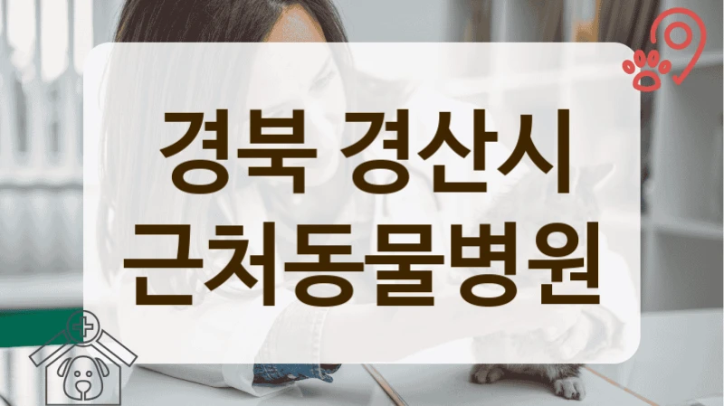 경북 경산시 반려 동물병원, 종합 건강검진 프로그램 안내