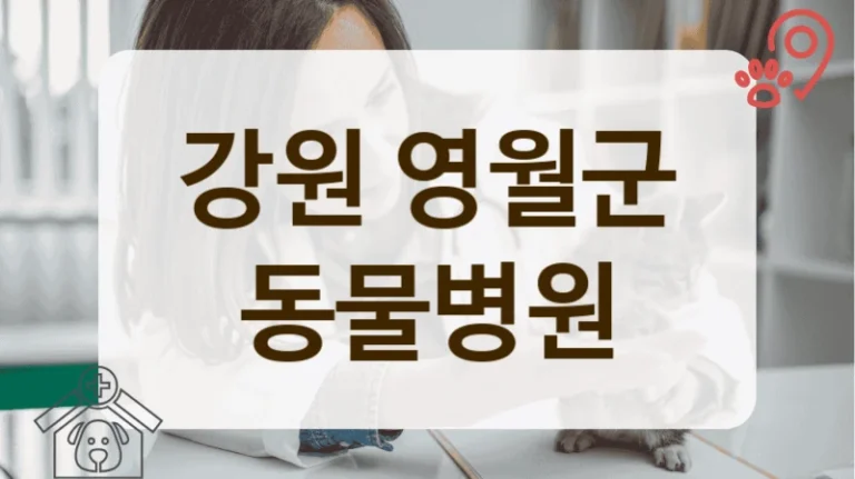 영월군 과잉진료 없는 동물병원 안내