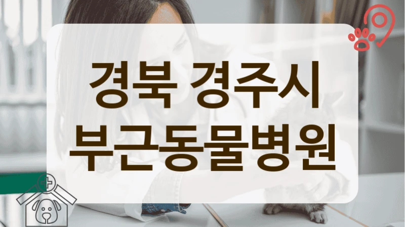 경북 경주시 편안한 분위기 동물병원 추천