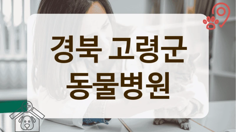 고령군 보호자 만족도 높은 동물병원 리스트업