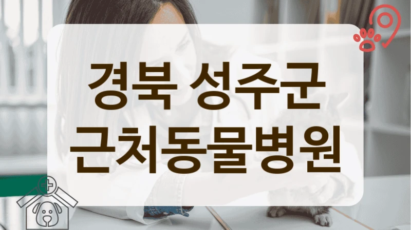 성주군 아기 고양이 첫 건강검진, 믿고 맡길 수 있는 동물병원