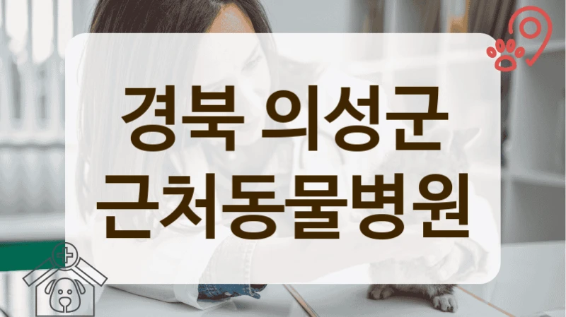 의성군 생애주기별 맞춤 케어 프로그램이 있는 동물병원 안내