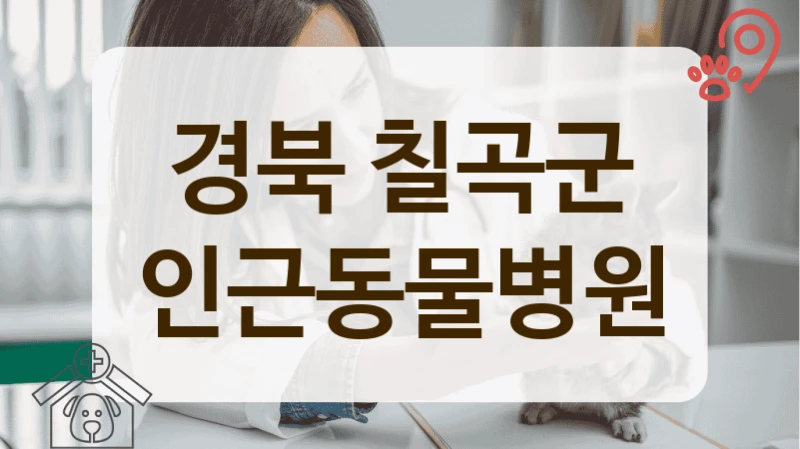 칠곡군 신뢰할 수 있는 반려동물 전문 병원 리스트