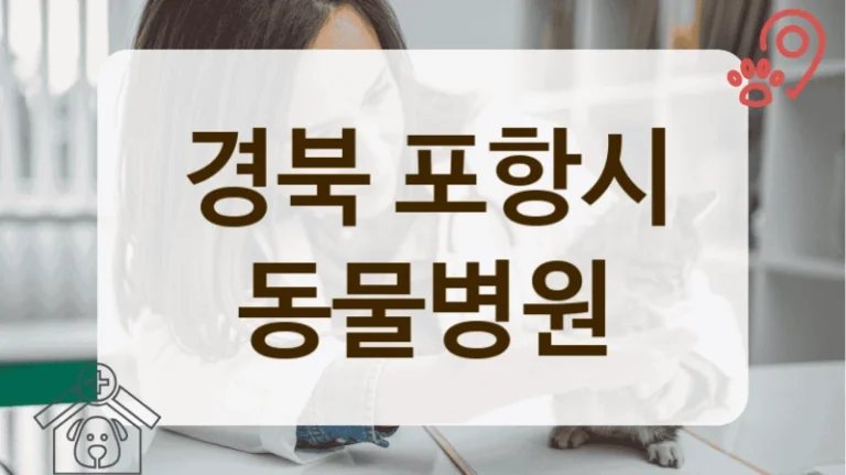 포항시 연령별 건강관리 프로그램이 있는 동물병원 안내