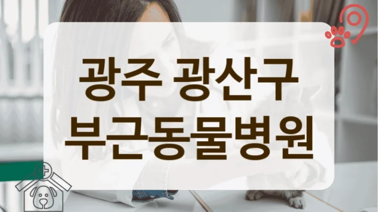 광주 광산구 반려동물과 편안하게 방문 가능한 동물병원