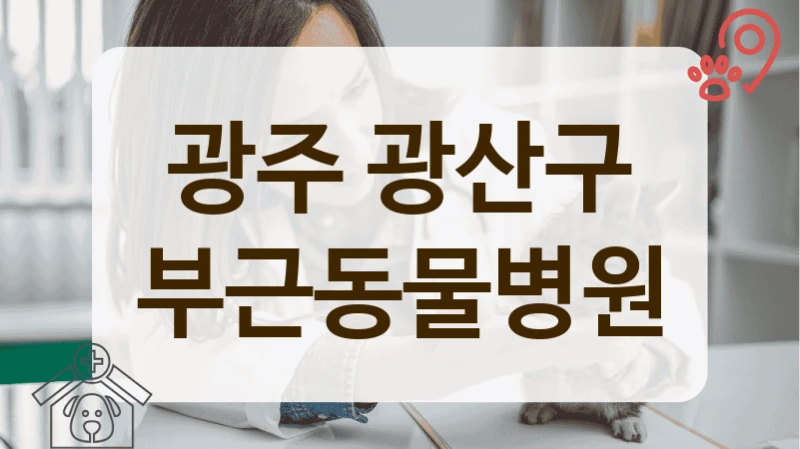 광주 광산구 반려동물과 편안하게 방문 가능한 동물병원