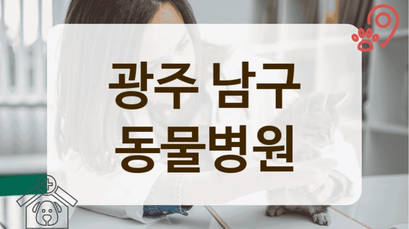 광주 남구 반려동물 치아 관리의 모든 것, 동물병원 안내