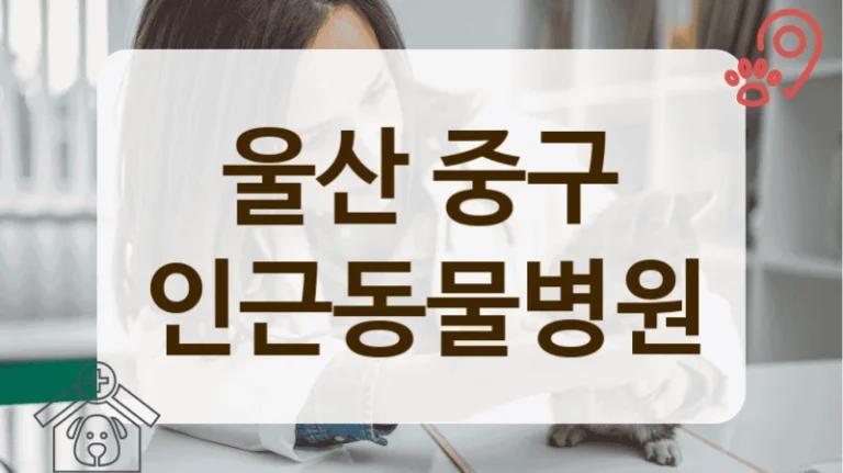중구 동물병원 중성화수술 잘하는 곳