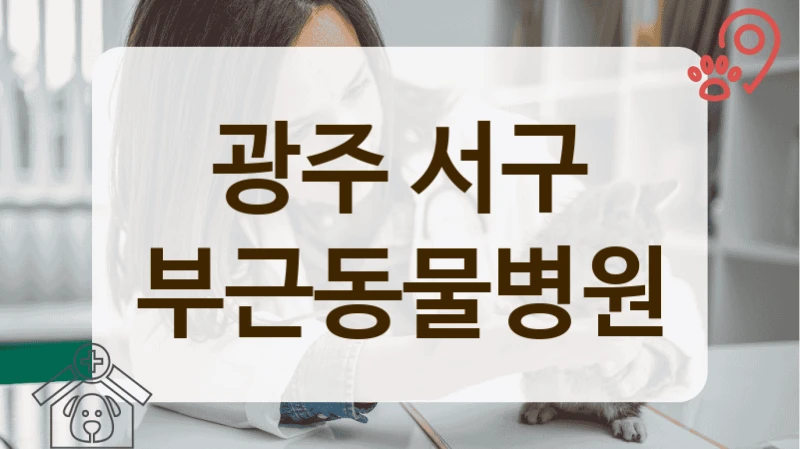 광주 서구 설명 잘해주는 동물병원 추천
