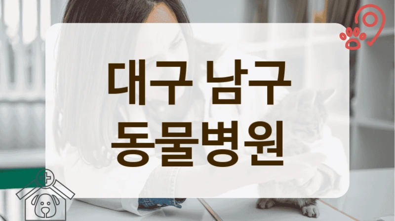 남구 처방 사료 상담 및 구매 가능한 동물병원 리스트