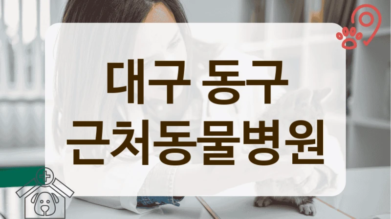대구 동구 안과 등 진료과목별 전문 동물병원 안내