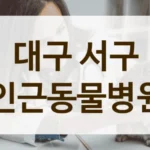 서구 첨단 장비로 진료하는 동물병원 소개