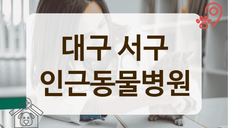 서구 첨단 장비로 진료하는 동물병원 소개