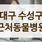 대구 수성구 초보 집사라면, 동물병원 필수 정보