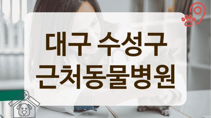 대구 수성구 초보 집사라면, 동물병원 필수 정보