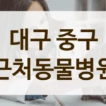 대구 중구 편안한 분위기 동물병원 추천