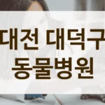 대덕구 입원 케어 잘해주는 동물병원 정보 공유