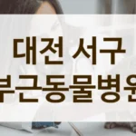대전 서구 반려동물 피부 질환 상담 및 치료 잘하는 곳