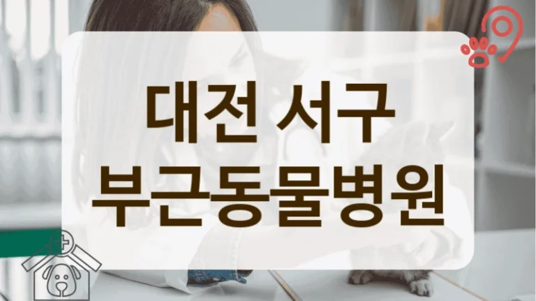 대전 서구 반려동물 피부 질환 상담 및 치료 잘하는 곳