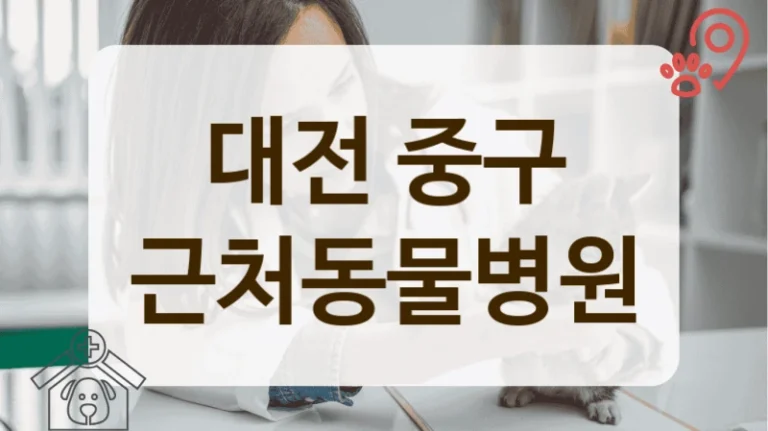 중구 생애주기별 맞춤 케어 프로그램이 있는 동물병원 추천