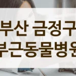 부산 금정구 깨끗한 시설 동물병원 안내