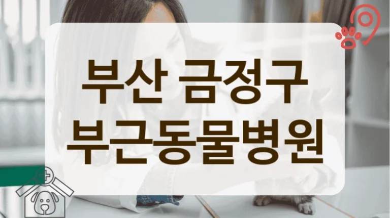 부산 금정구 깨끗한 시설 동물병원 안내