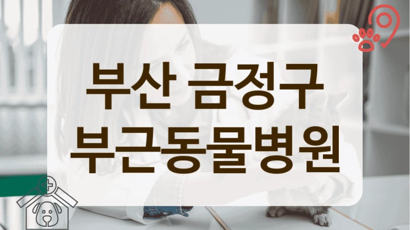부산 금정구 깨끗한 시설 동물병원 안내