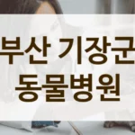 부산 기장군 동물병원 주차 정보 한눈에 보기