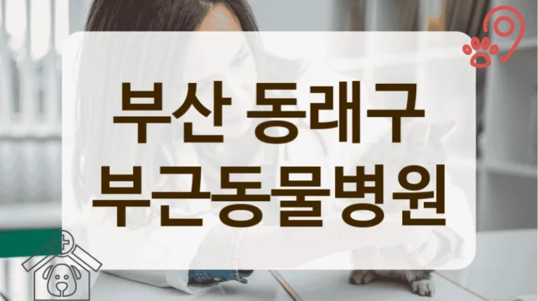 부산 동래구 지역 커뮤니티에서 칭찬 자자한 동물병원