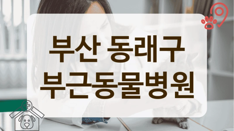 부산 동래구 지역 커뮤니티에서 칭찬 자자한 동물병원