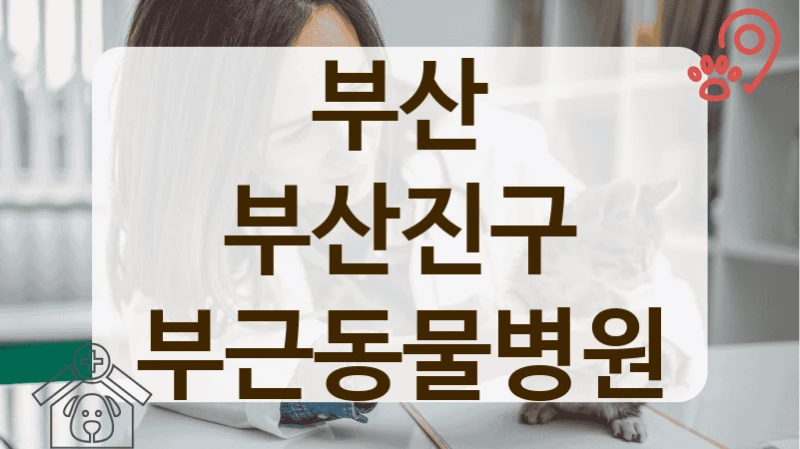 부산진구 첨단 장비로 진료하는 동물병원 리스트