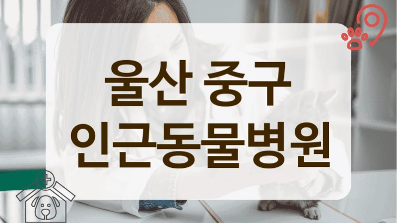 중구 동물병원 중성화수술 잘하는 곳