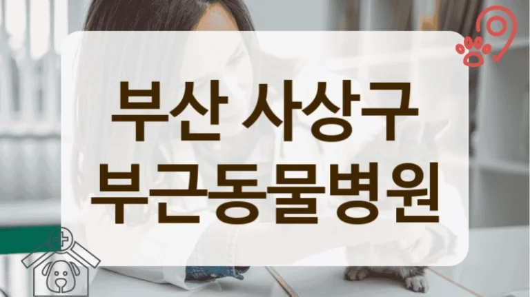 부산 사상구 반려동물 피부 질환 상담 및 치료 잘하는 곳