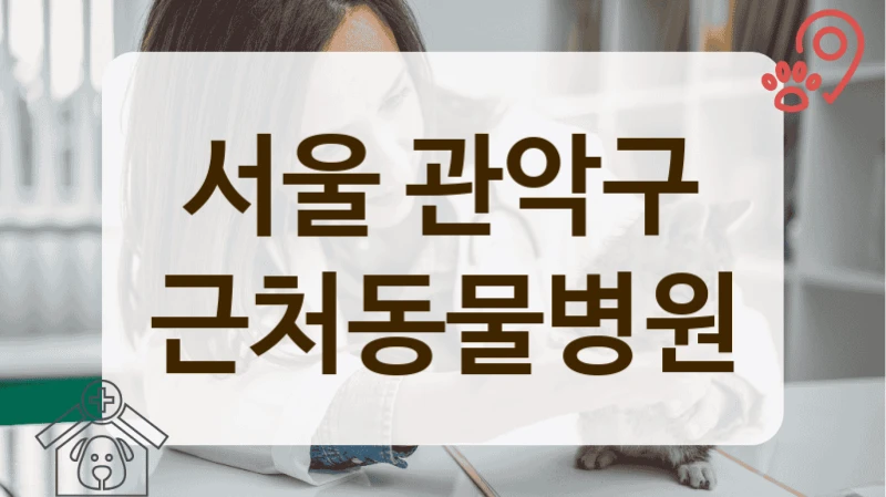 관악구 우리 아이를 위한 맞춤 진료 동물병원 찾기