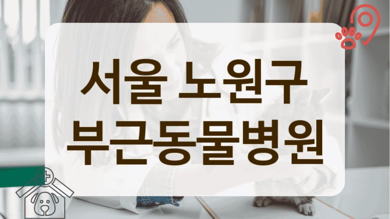 노원구 실력있는 반려동물 전문 병원 정보