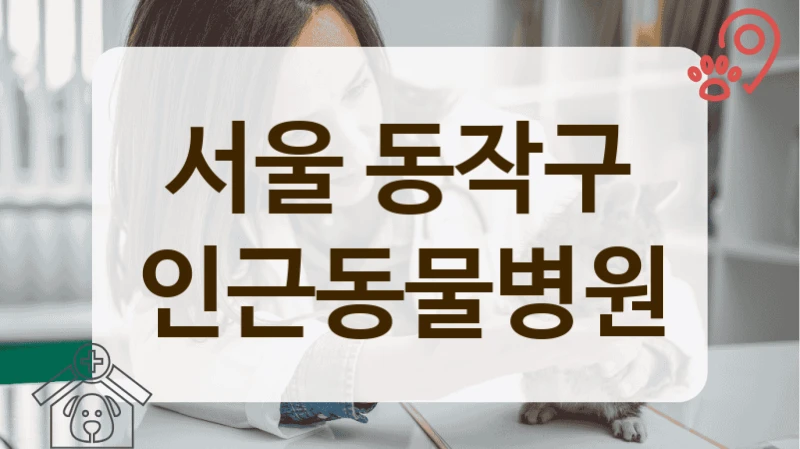 서울 동작구 최신 장비 보유 동물병원 안내