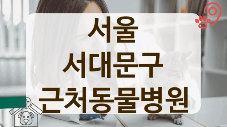 서울 서대문구 보호자와의 소통을 중시하는 동물병원 리스트