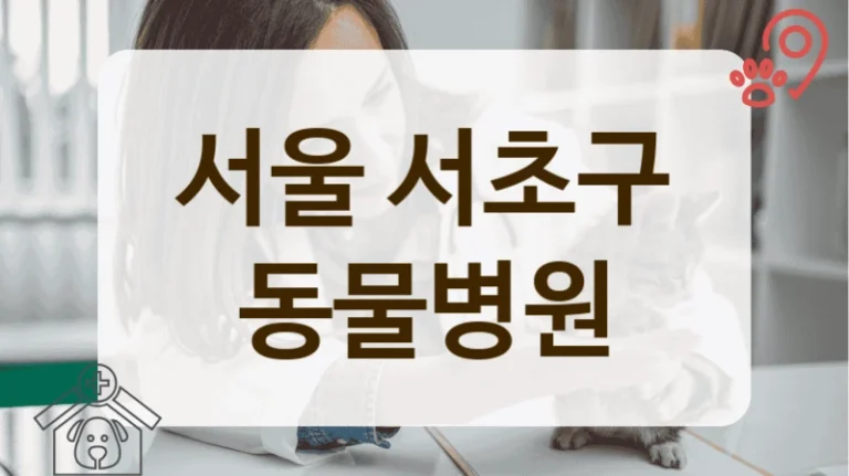 서울 서초구 내장칩 등록 가능한 동물병원 안내