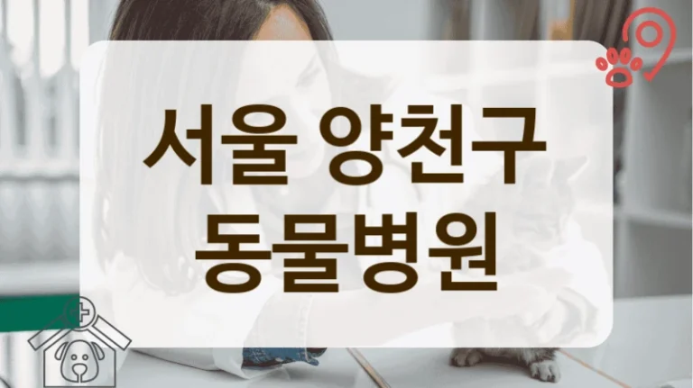 서울 양천구 고양이 친화 동물병원 추천
