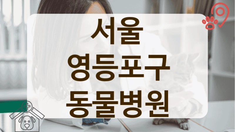 영등포구 동물병원 중성화수술 잘하는 곳