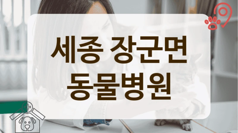 장군면 수술 후 회복 관리 잘해주는 동물병원 정보 공유