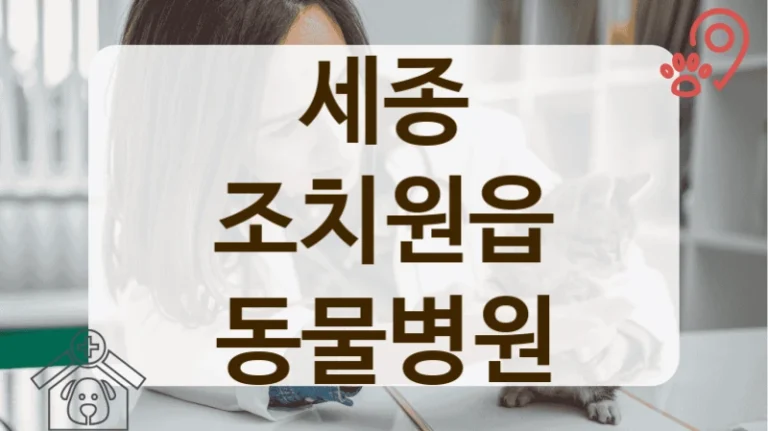 세종 조치원읍 주차 편한 동물병원 찾기