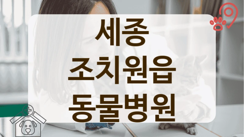 세종 조치원읍 주차 편한 동물병원 찾기