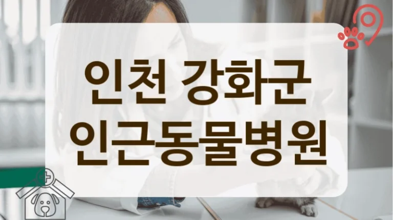 인천 강화군 고양이 전문 동물병원 어디가 좋을까?
