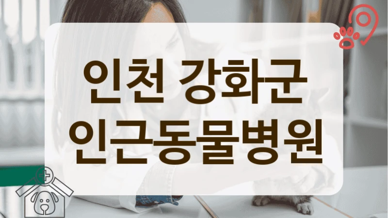 인천 강화군 고양이 전문 동물병원 어디가 좋을까?