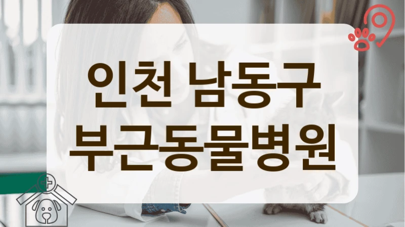 인천 남동구 반려동물과 편안하게 방문 가능한 동물병원